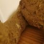 vintage teddy bear Image 6