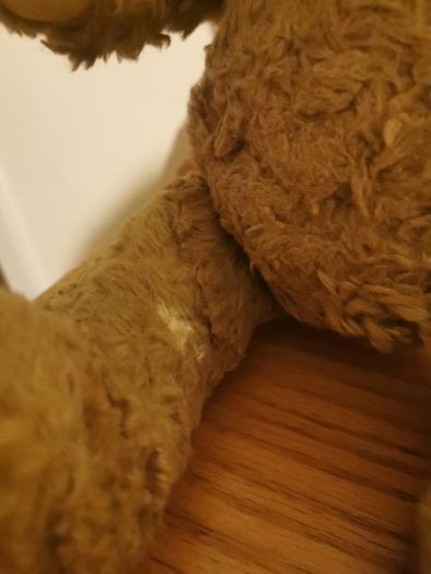 vintage teddy bear