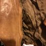 Leather jacket Image 10