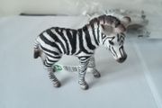 Schleich Baby Zebra Foal