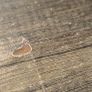 Dining table Image 7