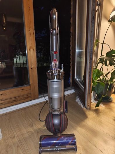 Dyson Ball Animal