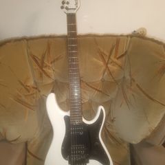 Schecter Sun Valley Super Shredder FR with Hard Case