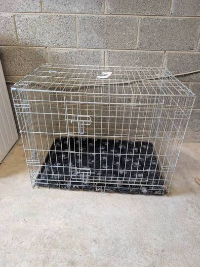 Dog Cage