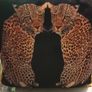 Beautiful cushion Image 2