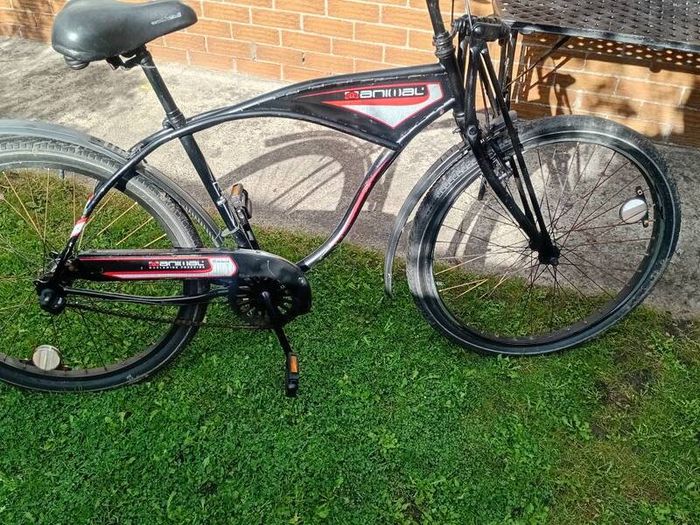 adults bike