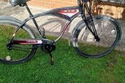 adults bike