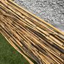 Bundle of natural bamboo garden canes Image 2