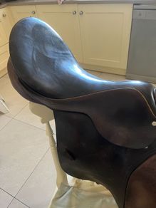 Horses  Saddle
