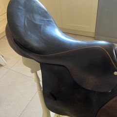 Horses  Saddle