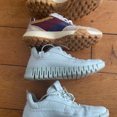 Ecco Trainers (Multicoloured)