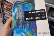 economics of the public sector