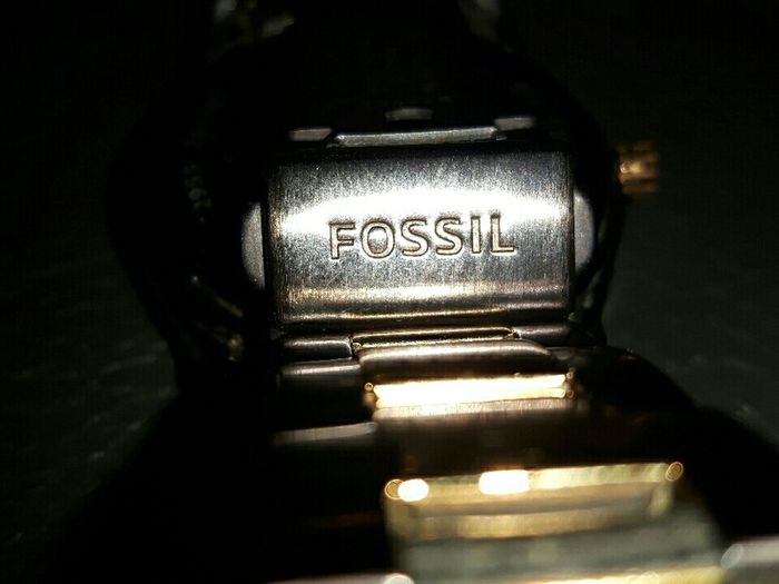 Fossil