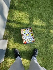 gold balls