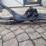 bog oak Image 3