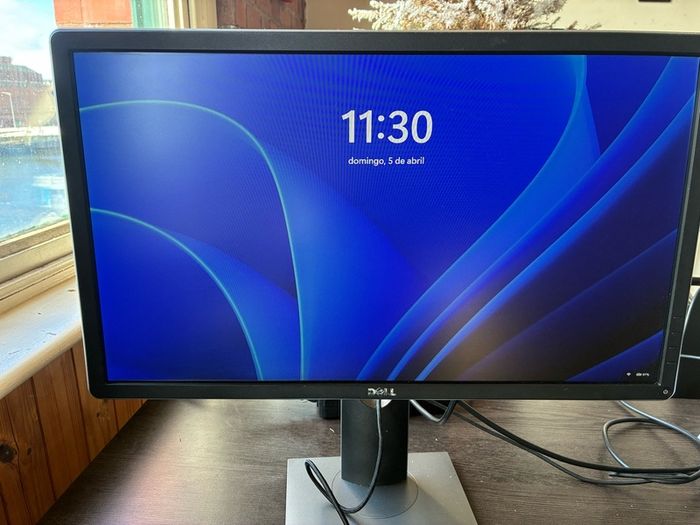 Dell P2414H 24 Inch Full HD Monitor