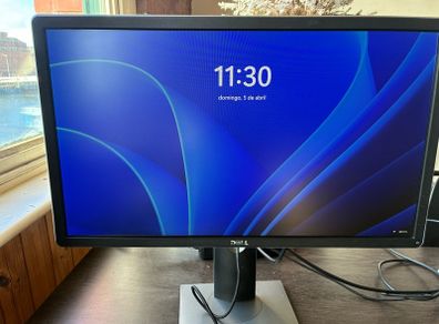 Dell P2414H 24 Inch Full HD Monitor