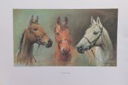 We Three Kings Print.