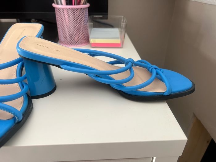 Blue Heels