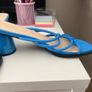 Blue Heels Image 2