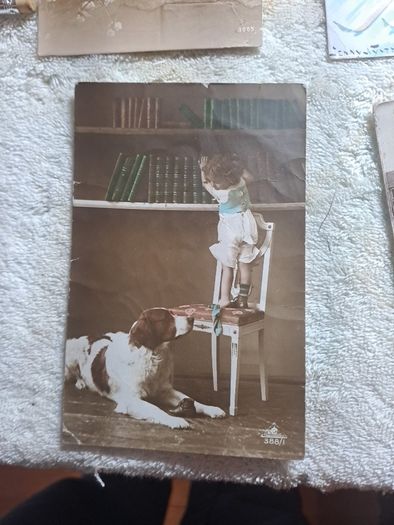Historic Gore Booth postcards.