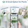 LEVOIT Humidifiers for Bedroom 3L, Top-Fill Cool Humidifier for Baby Room & Home, Smart Control with Humidity for Plants Image 7