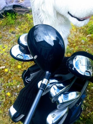 Set of Ladies Golf Clubs