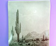 Giclee Art Prints