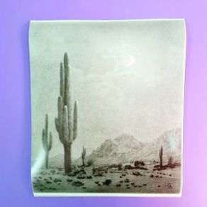 Giclee Art Prints