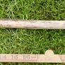 Traditional wooden shillelagh - rustic walking stick Image 5
