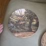 collectable plates Image 3