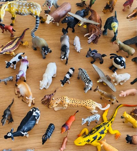 Animals