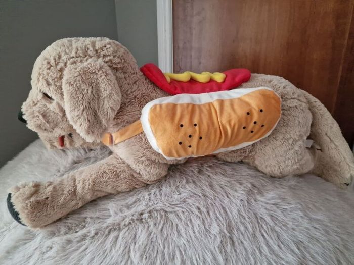 dog cloth