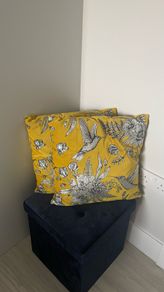 2 Velvet Cushions