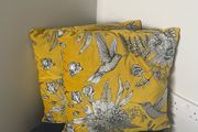 2 Velvet Cushions