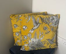 2 Velvet Cushions