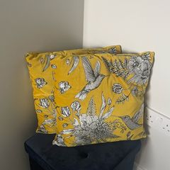 2 Velvet Cushions