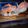 stihl consaw ts400 Image 2