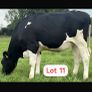 Radney Proven Protein Sale Image 3