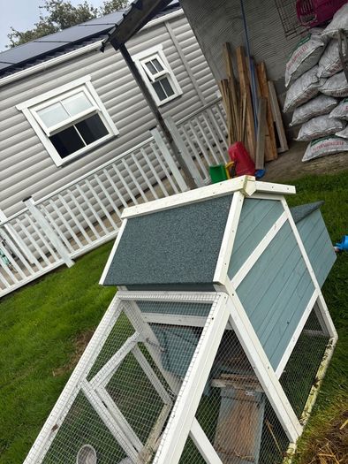 Millefleur Pekin Bantam pair with house