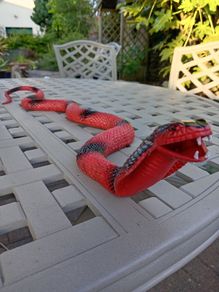 Toy Snake