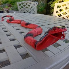 Toy Snake