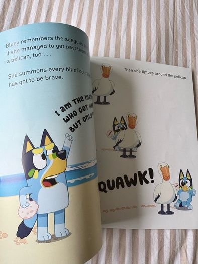 Bluey kids book bundle