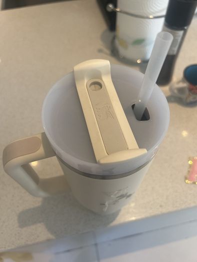 Stanley Tumbler (barely used)