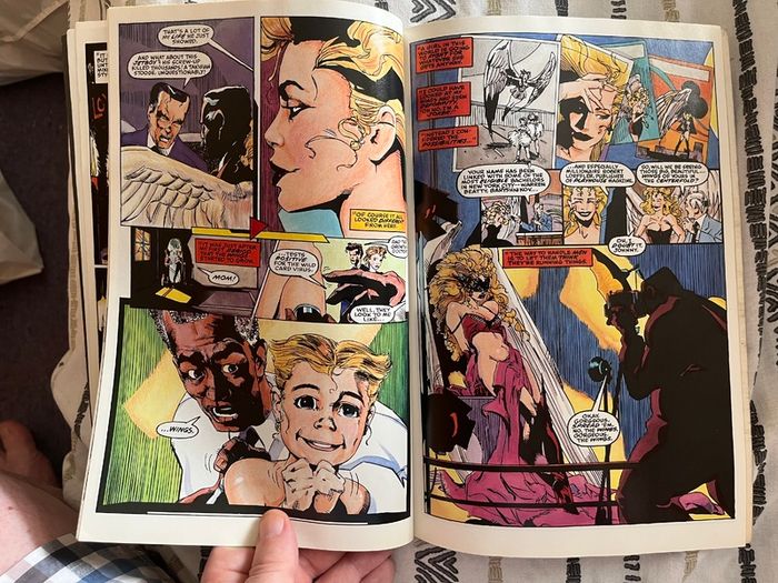 Wildcards graphic novel