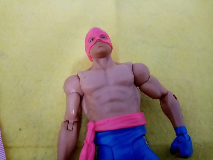 WWE Wrestlers Wrestler action Figure