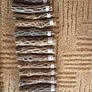 Pieces Cholla Cactus Wood 6"/Chinchilla Chews, shrimps, fishtank Image 5