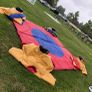 Sumo Suits and Inflatable Ring Image 2