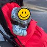Bugaboo bee 6 with added extras Image 9