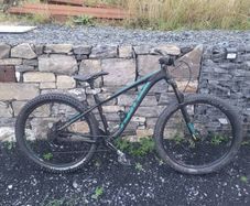 Kona Big Honzo